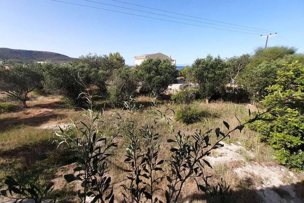 Вілла Elafonisos Detached House In Quiet Olive Grove, Starlink Internet & Smart Projector! Екстер'єр фото